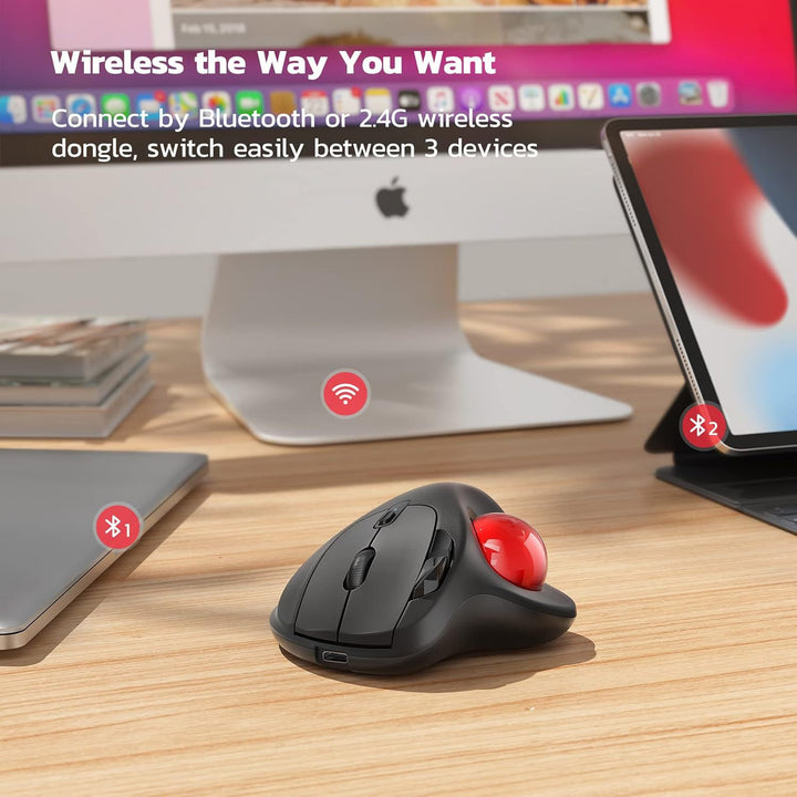 Ergonomic Trackball Mouse Kalsten