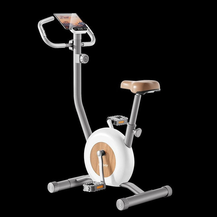 Smart Indoor Cycling Bike Kalsten