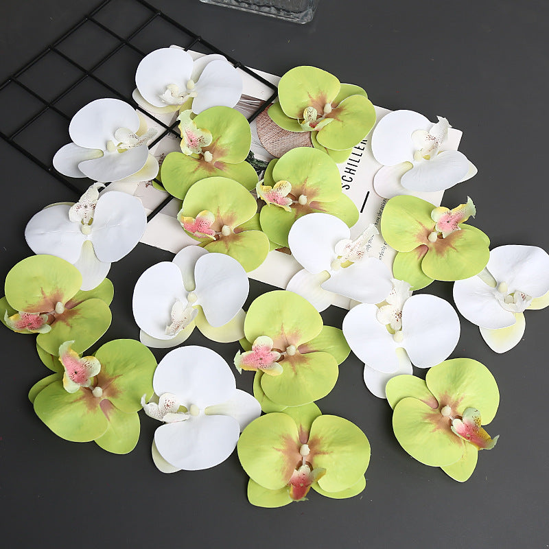 Decorative Orchid Petal for Home Decor Display