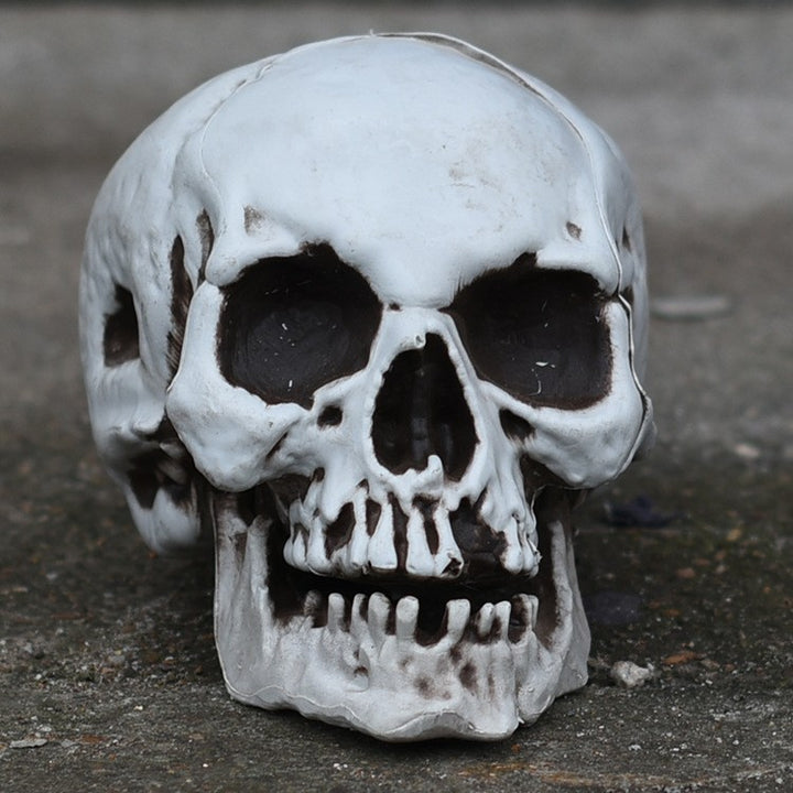 Decorative Skull Smartphone Stand Kalsten