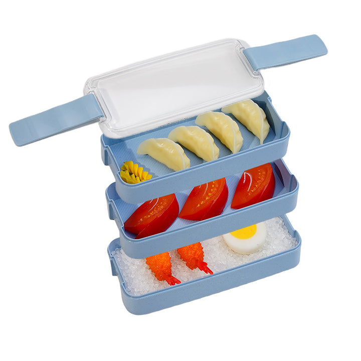 Multi-Compartment Bento Lunch Box