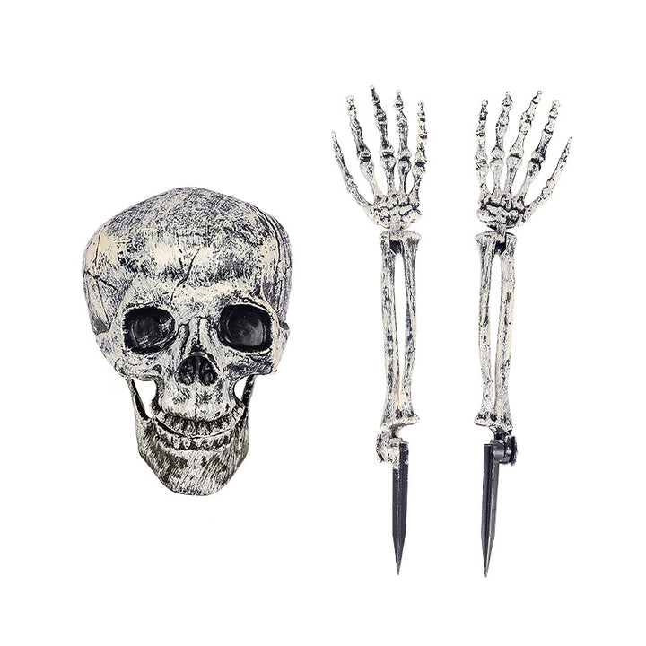 Decorative Skeleton Hand and Skull Décor Kalsten