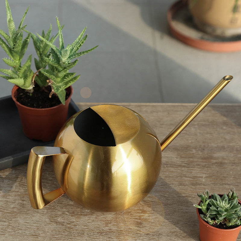 Stylish Watering Can