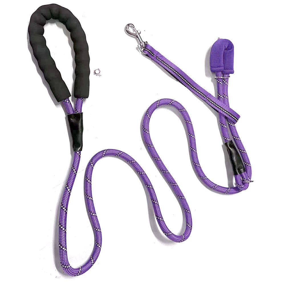 Heavy-Duty Climbing-Style Dog Leash