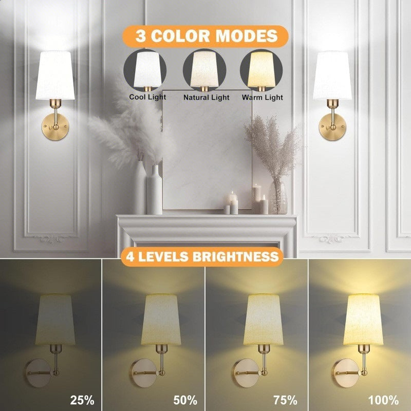 Modern Wall Sconce