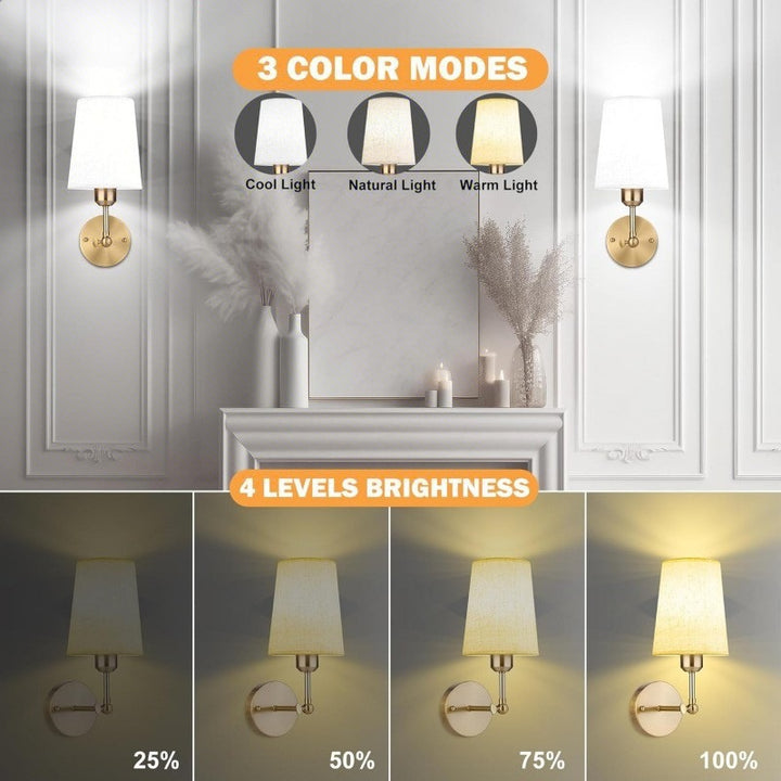 Modern Wall Sconce