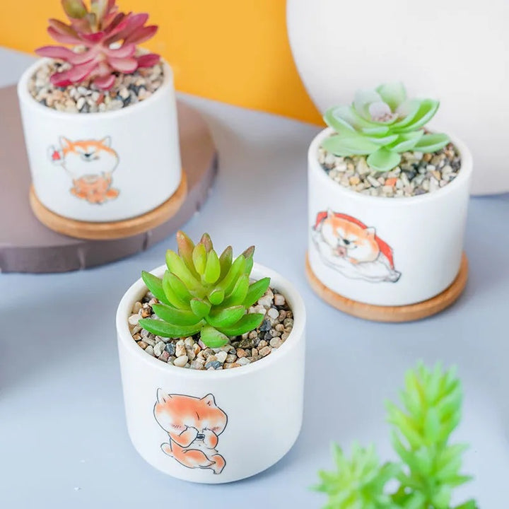 Cute Animal-Themed Succulent Planter Kalsten