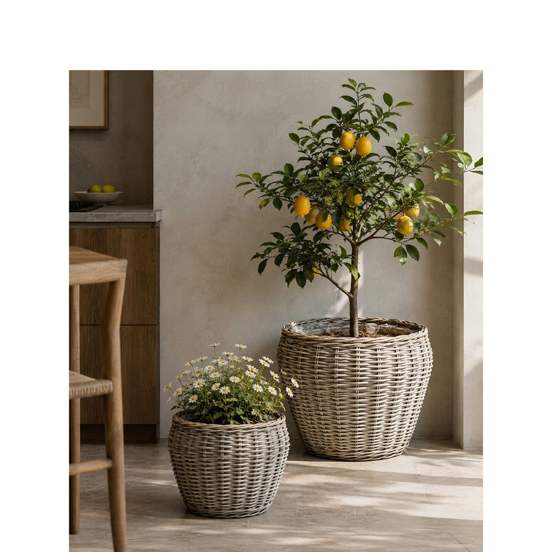 Decorative plant basket with plastic inner bag Kalsten