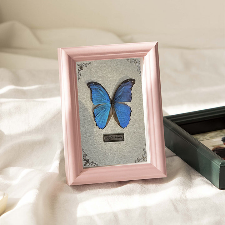 Decorative Butterfly Art Frame for Home Decor