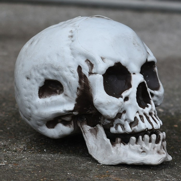 Decorative Skull Smartphone Stand Kalsten