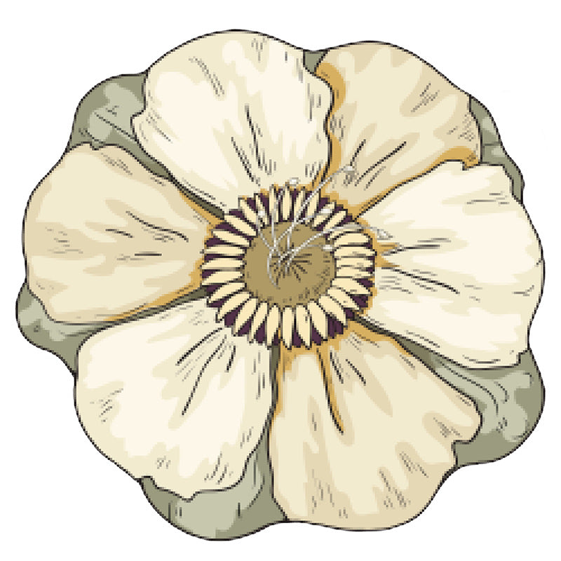 Floral-Inspired Decorative Mat