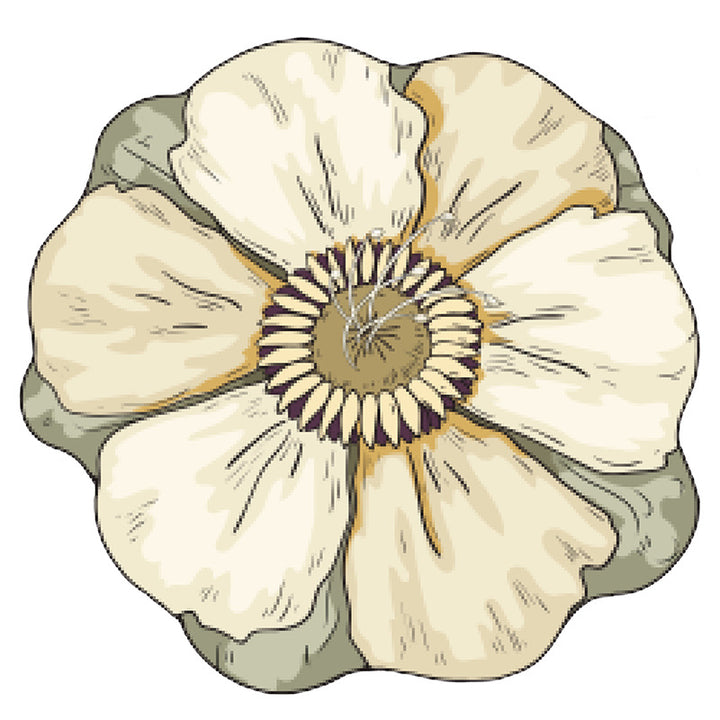 Floral-Inspired Decorative Mat
