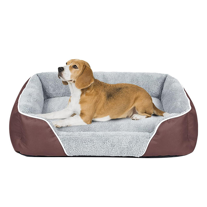 Orthopedic Foam Dog Bed