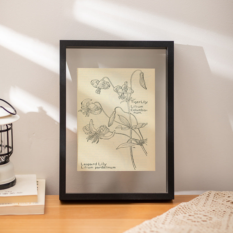 Botanical Illustration Wall Art Frame