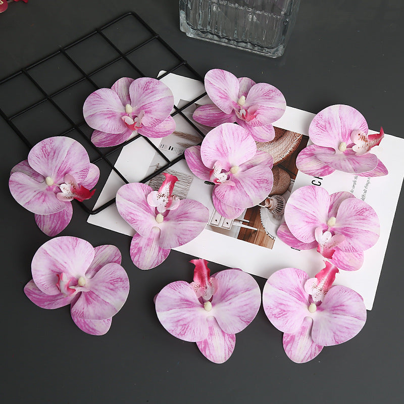Decorative Orchid Petal for Home Decor Display
