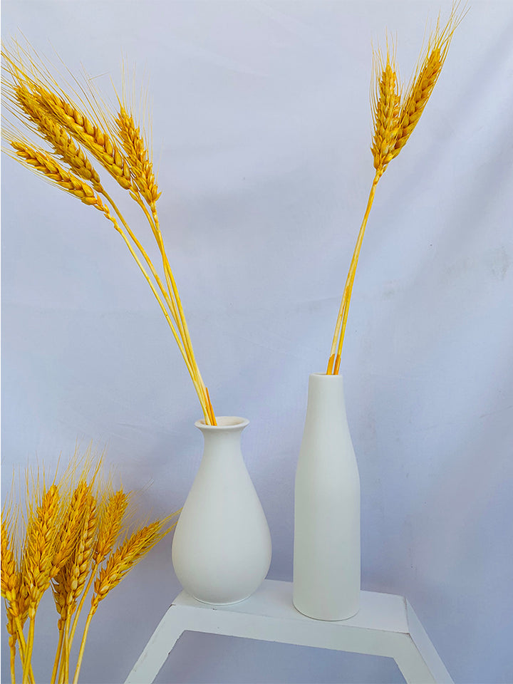 Decorative Ceramic Kalsten