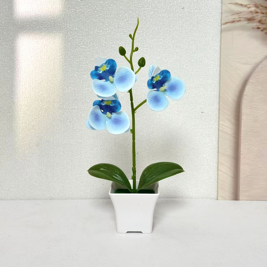 Artificial Orchid Arrangement for Home and Office Decor