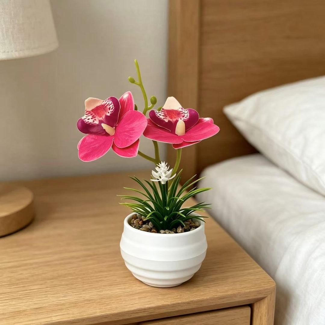 Decorative Miniature Orchid Centerpiece