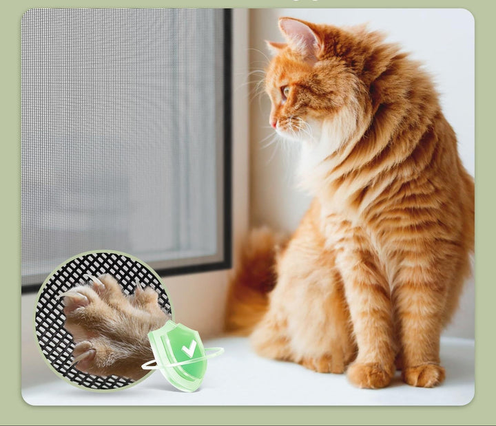 Pet Safety Screen Kalsten