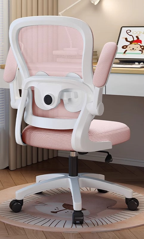 Ergonomic Study Chair Kalsten