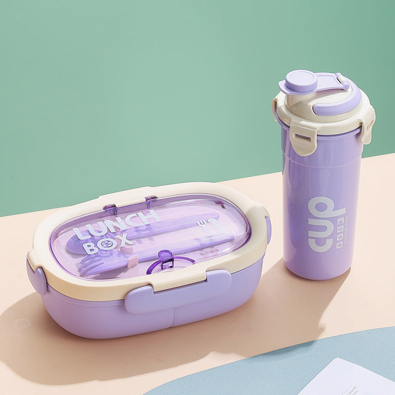 Insulated Multi-Compartment Lunch Box