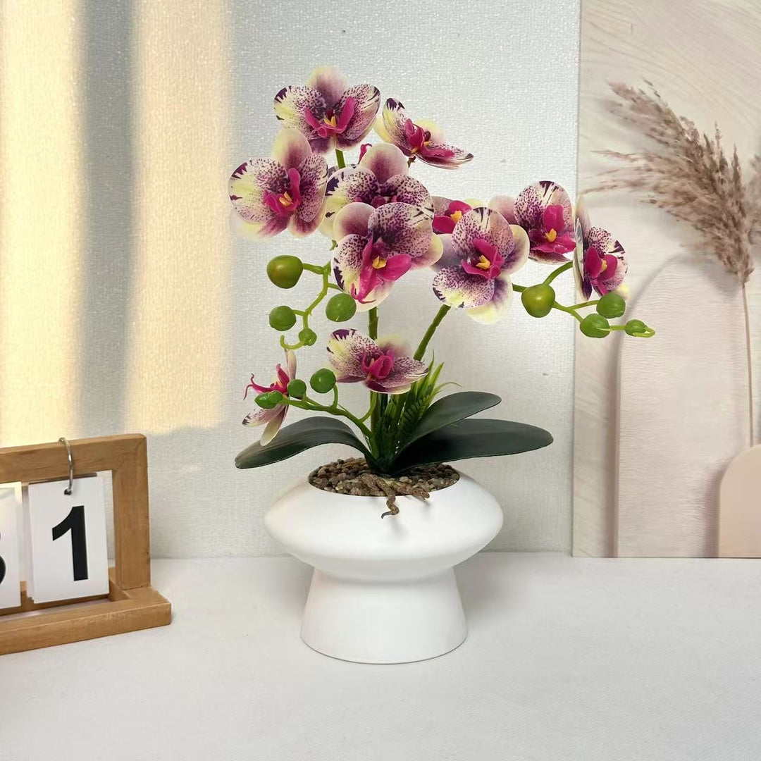 Decorative Orchid Flower Arrangement for Home Display