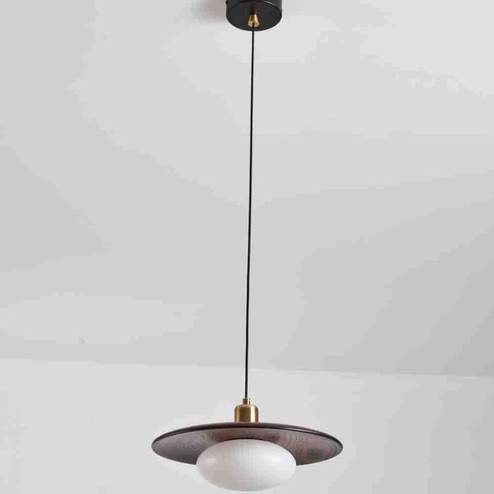 Modern Artistic Pendant Light Fixture