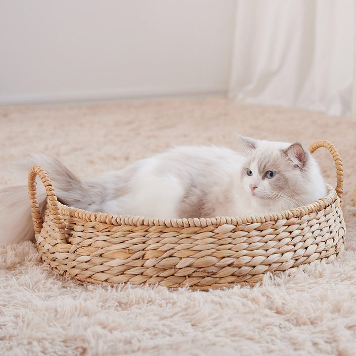Cozy Cat Bed Kalsten