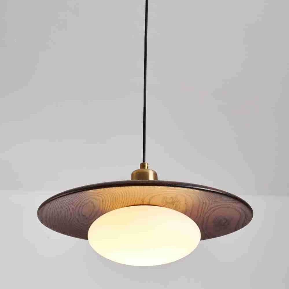 Modern Artistic Pendant Light Fixture