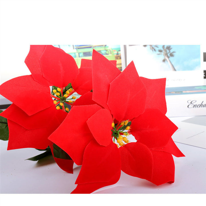 Decorative Poinsettia Plant Arrangement Kalsten