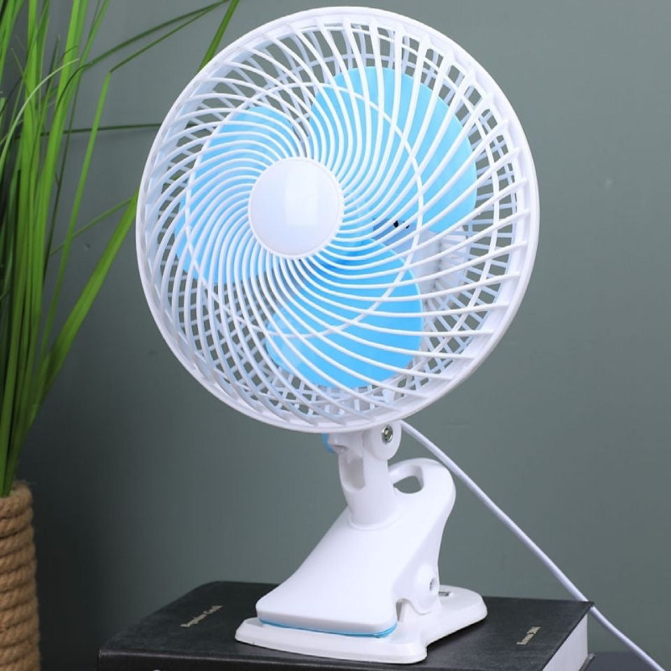 Fan Kalsten