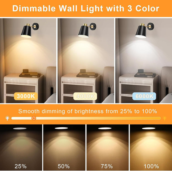 Modern Hanging Pendant Light