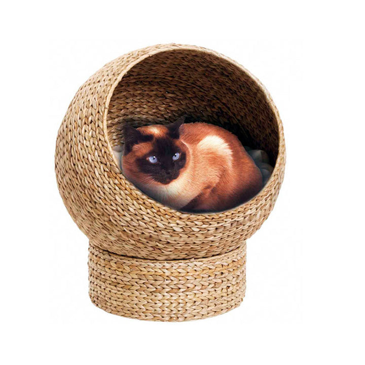Katzenkuhle Kalsten