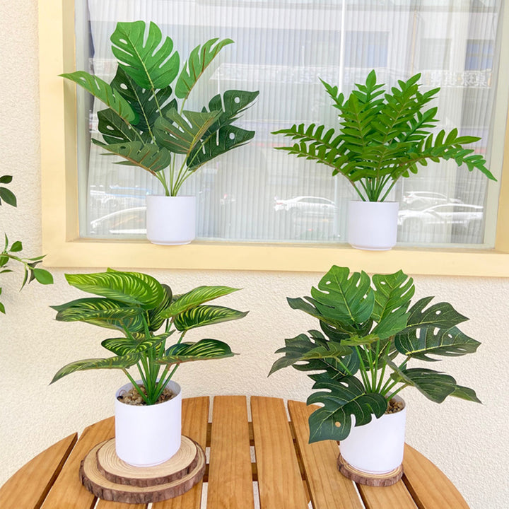 Lifelike Indoor Fern Plant