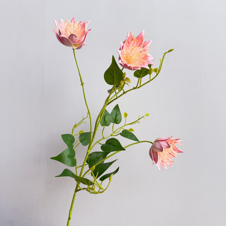 Exotic Flora Arrangement