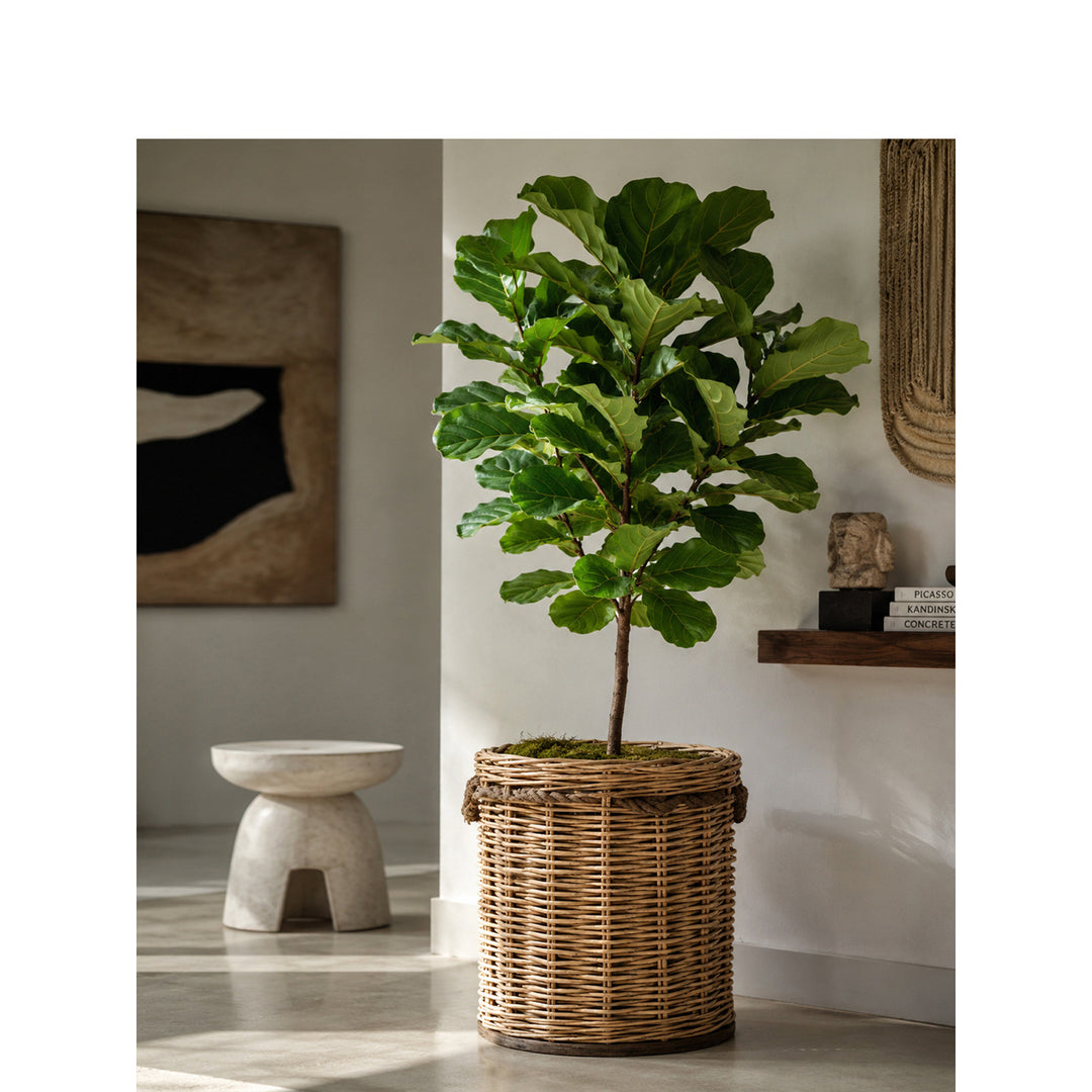 High-quality storage basket made of willow Kalsten