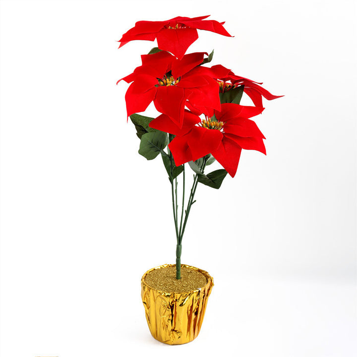 Decorative Poinsettia Plant Arrangement Kalsten