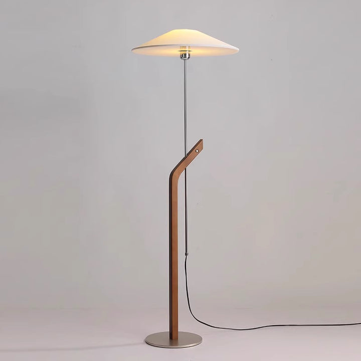 Modern Sculptural Floor Lamp