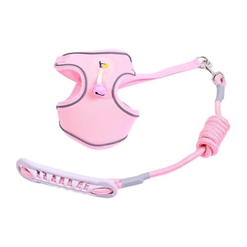 Pet harness with leash Kalsten