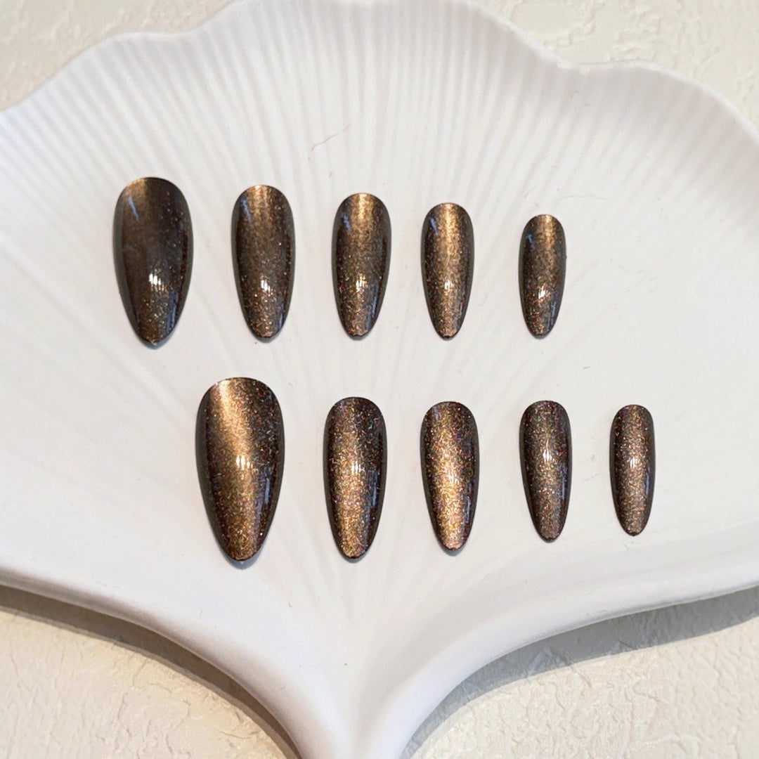 Glossy Stiletto Nail Tips