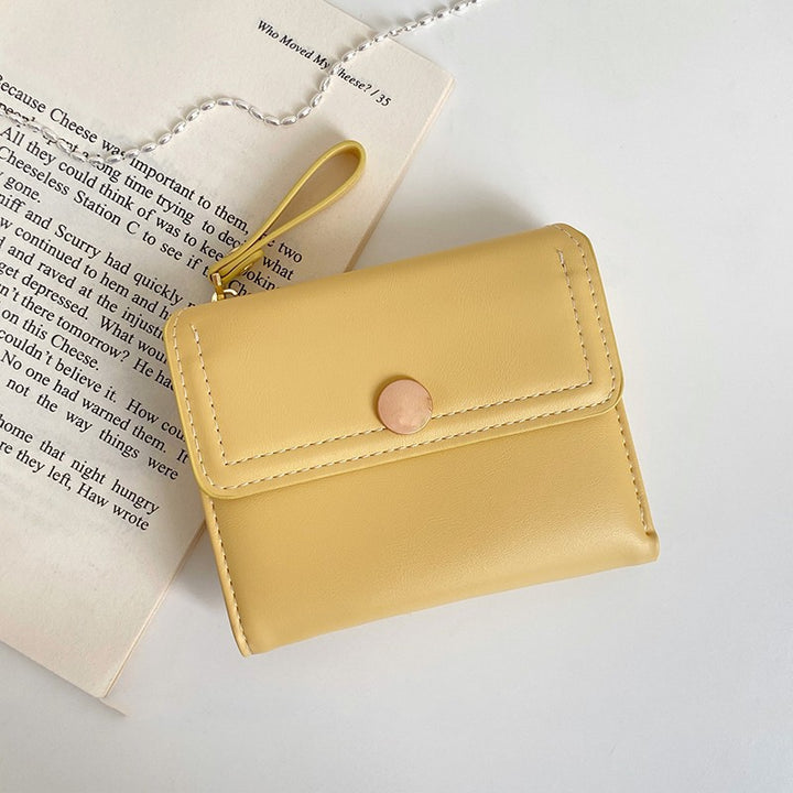 Compact Magnetic Closure Cardholder Kalsten