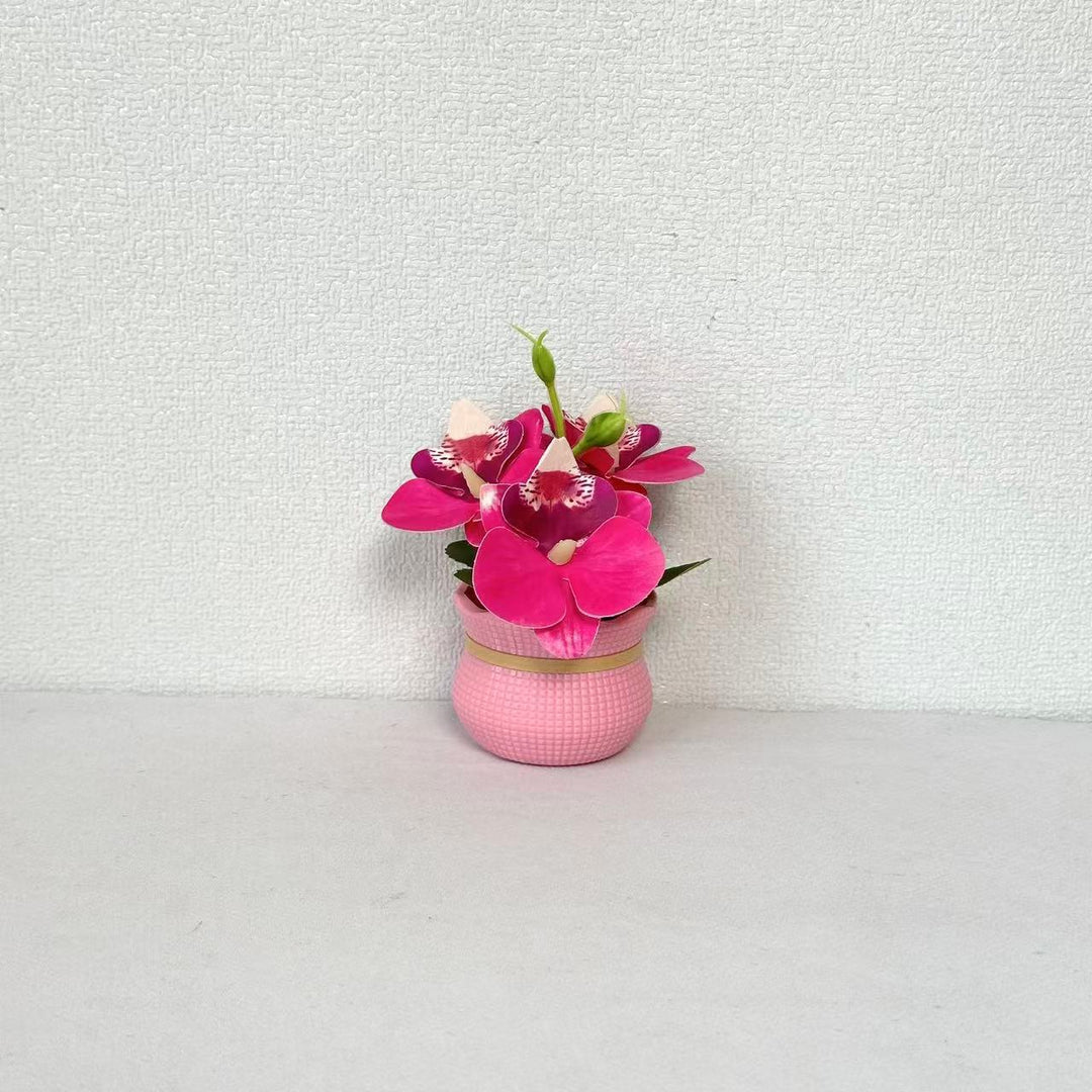 Decorative Potted Orchid Arrangement for Home Decor