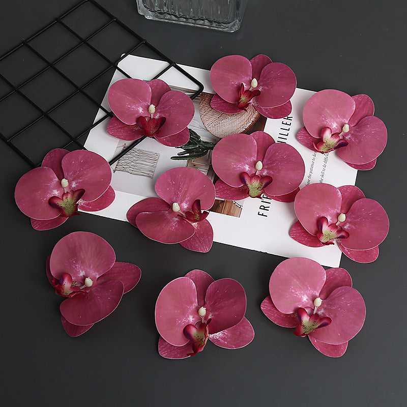 Decorative Orchid Petal for Home Decor Display