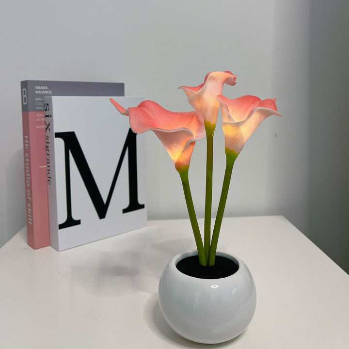 Elegant Decorative