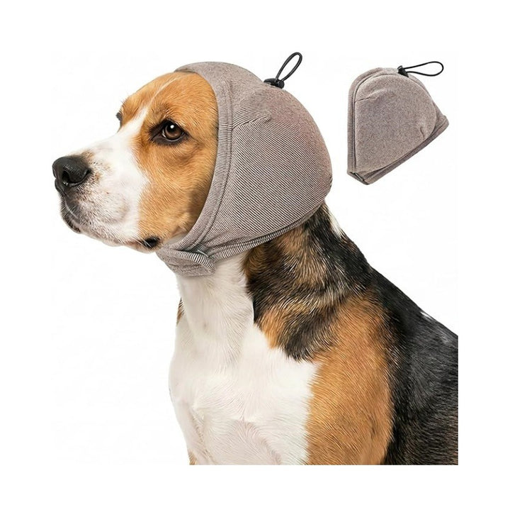 Dog head protection Kalsten
