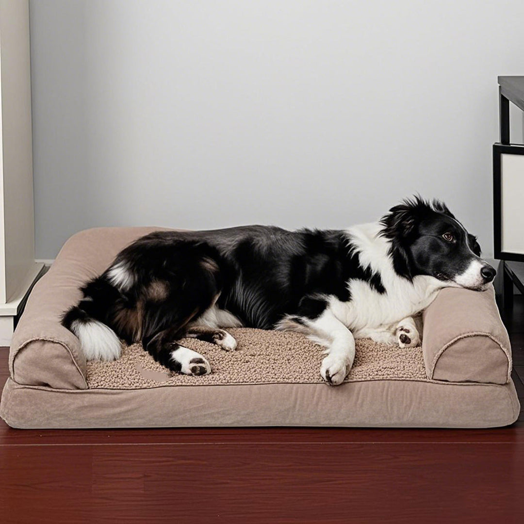 Plush Bolstered Dog Bed