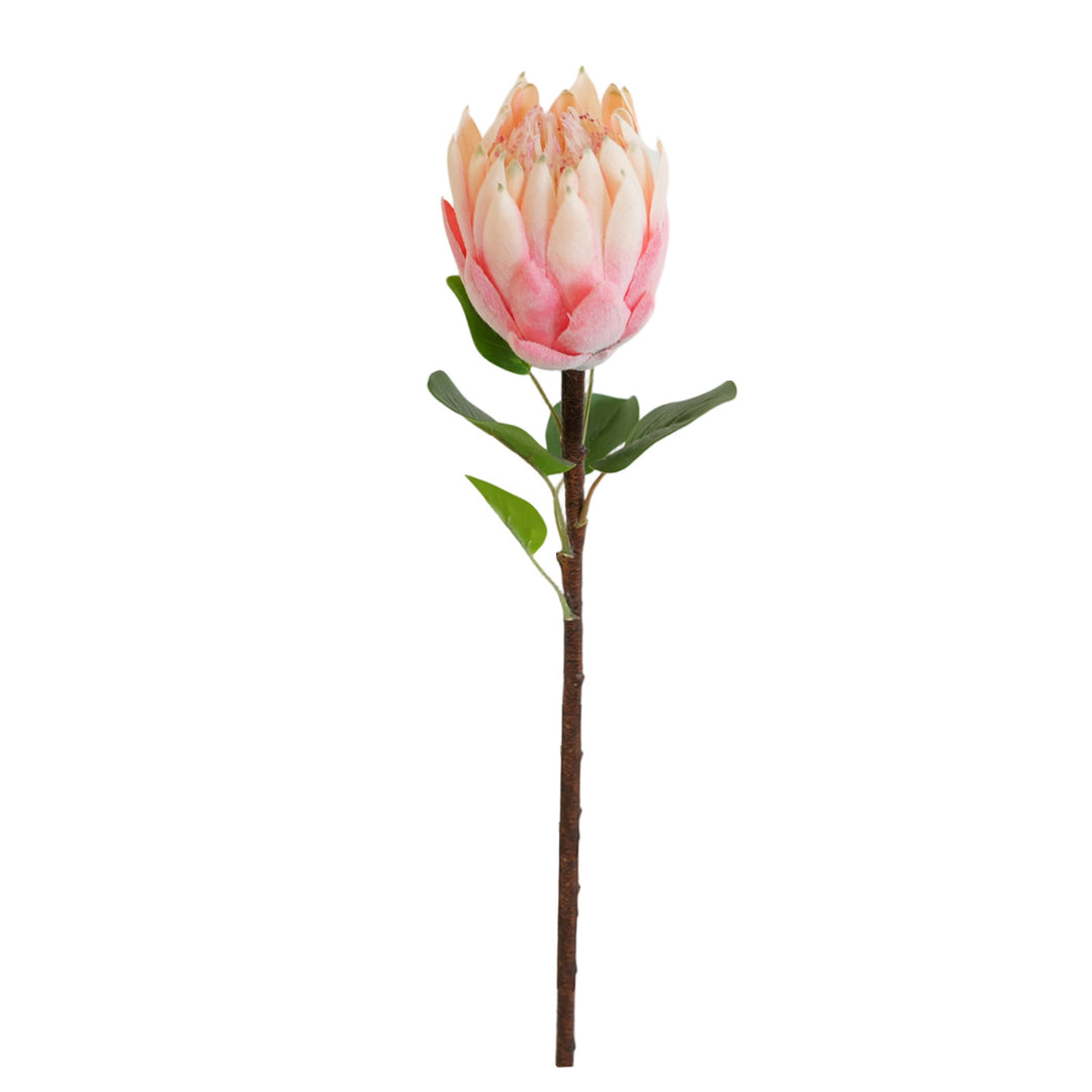Artificial Protea Flower Kalsten