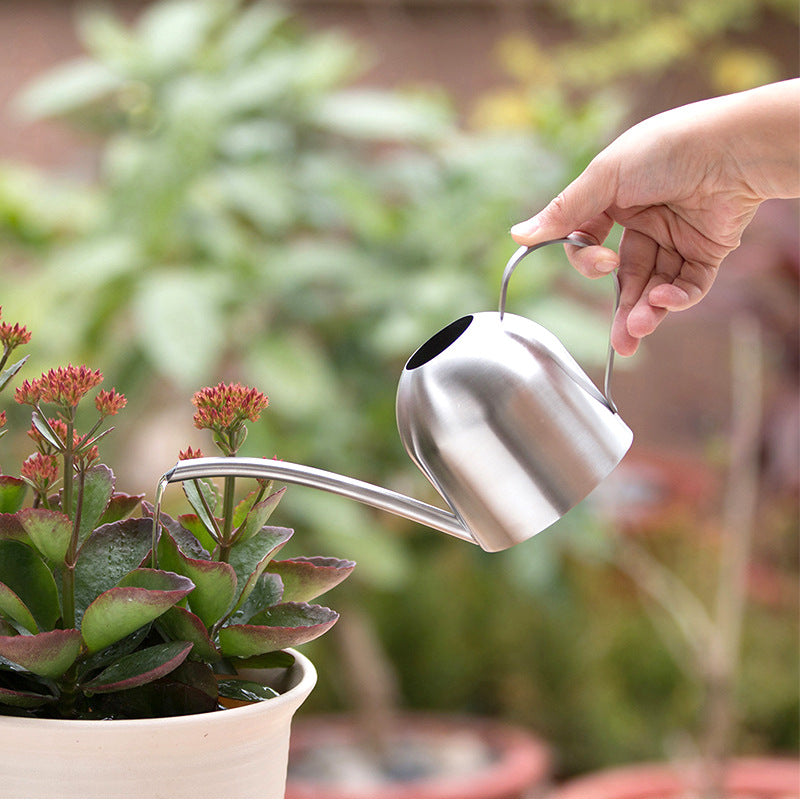 Premium Stainless Steel Watering Can