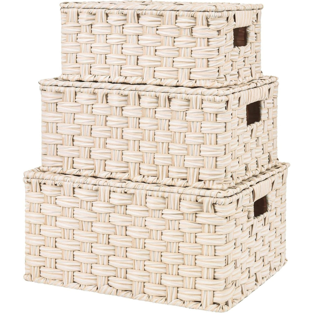 Handwoven Storage Baskets Set Kalsten