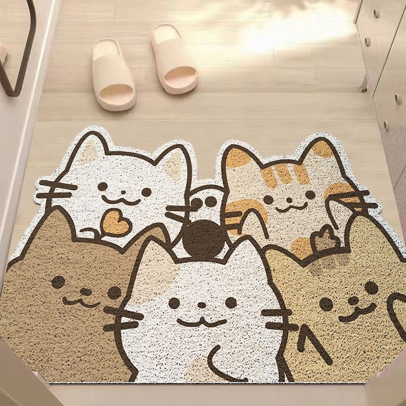Decorative Area Rug for Indoor Floor Display